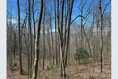 270 Anielee Lane, Clyde, NC 28721 - Photo 30