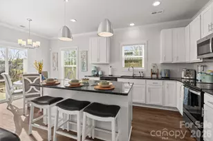 9022 Henry Thoreau Rd, Charlotte, NC 28214 - Photo 10