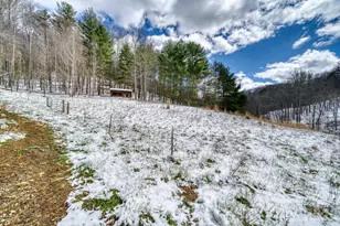 292 Crow Ln, Burnsville, NC 28714 - Photo 22