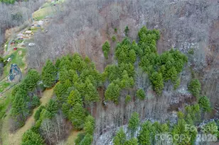 292 Crow Ln, Burnsville, NC 28714 - Photo 30