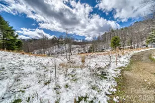 292 Crow Ln, Burnsville, NC 28714 - Photo 26