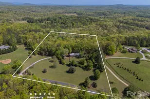 176 Fox Run Ln, Tryon, NC 28782 - Photo 40