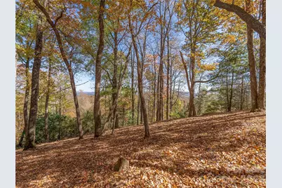 44 Ridge Pine Trail #83, Arden, NC 28704 - Photo 8