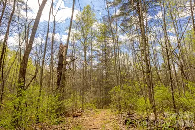 82 Meadow Ridge Court, Tuckasegee, NC 28783 - Photo 28