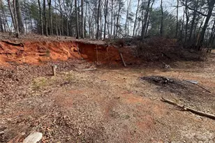 365 Hillbilly Ln, Mill Spring, NC 28756 - Photo 16