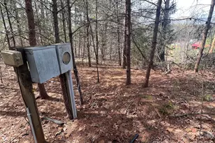 365 Hillbilly Ln, Mill Spring, NC 28756 - Photo 18