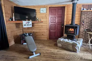 365 Hillbilly Ln, Mill Spring, NC 28756 - Photo 4