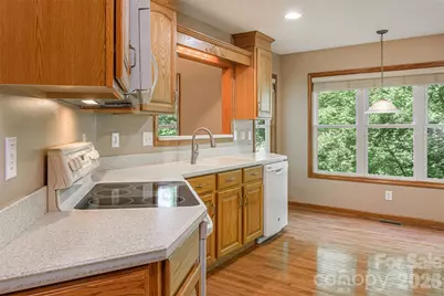 299 Carriage Summitt Way, Hendersonville, NC 28791 - Photo 22