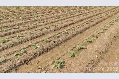 0 Nc Hwy 268 None, Elkin, NC 28621 - Photo 14