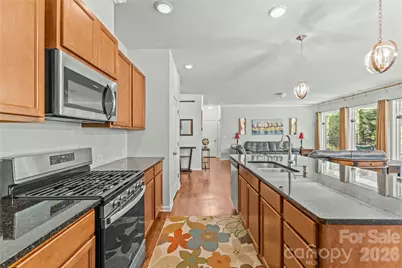 446 Dudley Drive, Fort Mill, SC 29715 - Photo 8