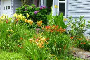 592 Liberty Church Rd, Marion, NC 28752 - Photo 10