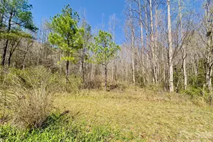 592 Liberty Church Rd, Marion, NC 28752 - Photo 8