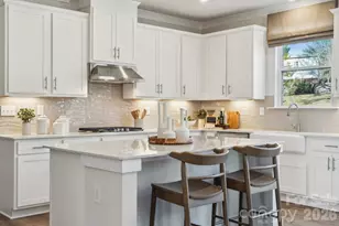 9989 Mnr Vis Trl, Kannapolis, NC 28027 - Photo 18