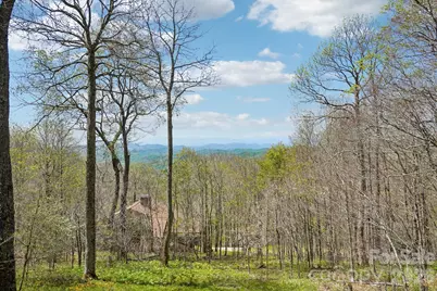 34 Wolfs Head Court, Mars Hill, NC 28754 - Photo 8