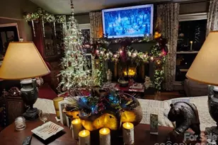 17 Marlwood Ct, Asheville, NC 28804 - Photo 34