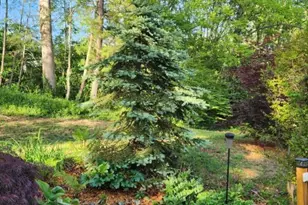 17 Marlwood Ct, Asheville, NC 28804 - Photo 40