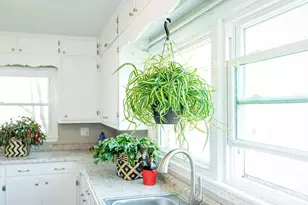 610 E Main St, Cherryville, NC 28021 - Photo 34