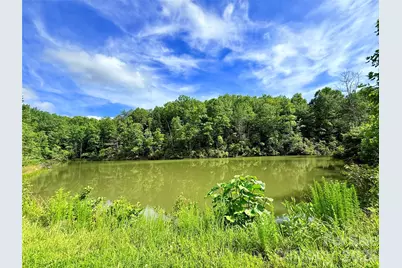 221 Summerfield Lane, Rutherfordton, NC 28139 - Photo 28