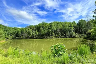 221 Summerfield Ln, Rutherfordton, NC 28139 - Photo 28