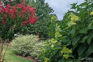 4308 Glenduran Ln, Waxhaw, NC 28173 - Photo 40