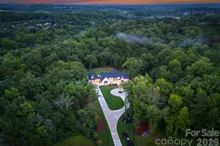 15037 June Washam Rd, Davidson, NC 28036 - Photo 48