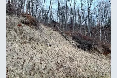 89 Weeping Cherry Forest Road, Fairview, NC 28730 - Photo 4