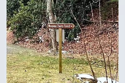 89 Weeping Cherry Forest Road, Fairview, NC 28730 - Photo 6