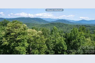 156 Gilliam Road, Old Fort, NC 28762 - Photo 4