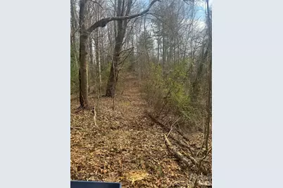 1820 Grapevine Road, Marshall, NC 28753 - Photo 20