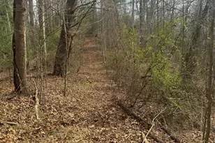 1820 Grapevine Rd, Marshall, NC 28753 - Photo 20