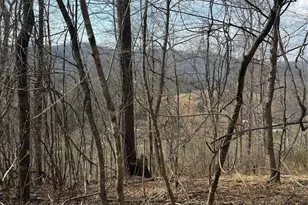 1820 Grapevine Rd, Marshall, NC 28753 - Photo 30