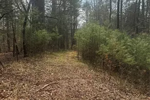 1820 Grapevine Rd, Marshall, NC 28753 - Photo 22