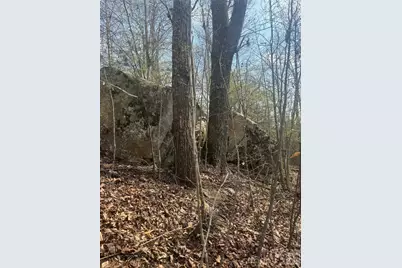 1820 Grapevine Road, Marshall, NC 28753 - Photo 24