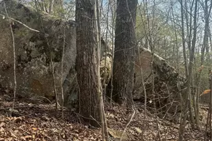 1820 Grapevine Rd, Marshall, NC 28753 - Photo 24