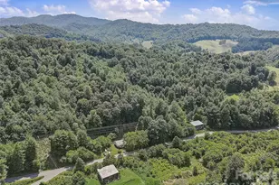 1820 Grapevine Rd, Marshall, NC 28753 - Photo 6