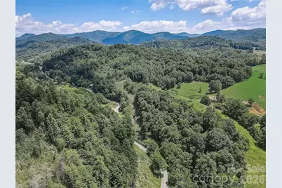 1820 Grapevine Road, Marshall, NC 28753 - Photo 12