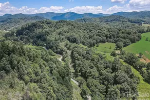 1820 Grapevine Rd, Marshall, NC 28753 - Photo 12