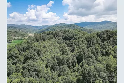 1820 Grapevine Road, Marshall, NC 28753 - Photo 8