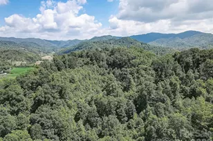 1820 Grapevine Rd, Marshall, NC 28753 - Photo 8