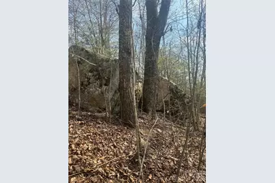 1820 Grapevine Road, Marshall, NC 28753 - Photo 24