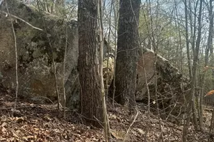 1820 Grapevine Rd, Marshall, NC 28753 - Photo 24