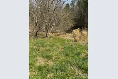 1820 Grapevine Road, Marshall, NC 28753 - Photo 44