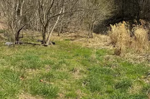 1820 Grapevine Rd, Marshall, NC 28753 - Photo 44