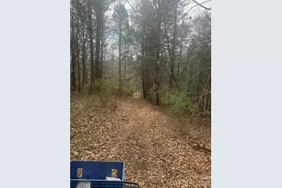 1820 Grapevine Road, Marshall, NC 28753 - Photo 18