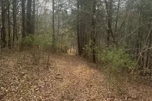 1820 Grapevine Rd, Marshall, NC 28753 - Photo 18