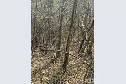 1820 Grapevine Road, Marshall, NC 28753 - Photo 32