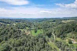 1820 Grapevine Rd, Marshall, NC 28753 - Photo 16