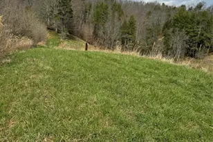 1820 Grapevine Rd, Marshall, NC 28753 - Photo 38