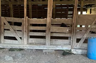 1820 Grapevine Rd, Marshall, NC 28753 - Photo 48