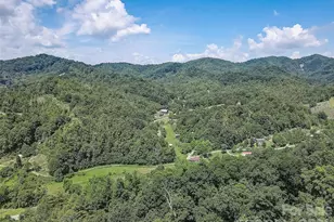 1820 Grapevine Rd, Marshall, NC 28753 - Photo 4